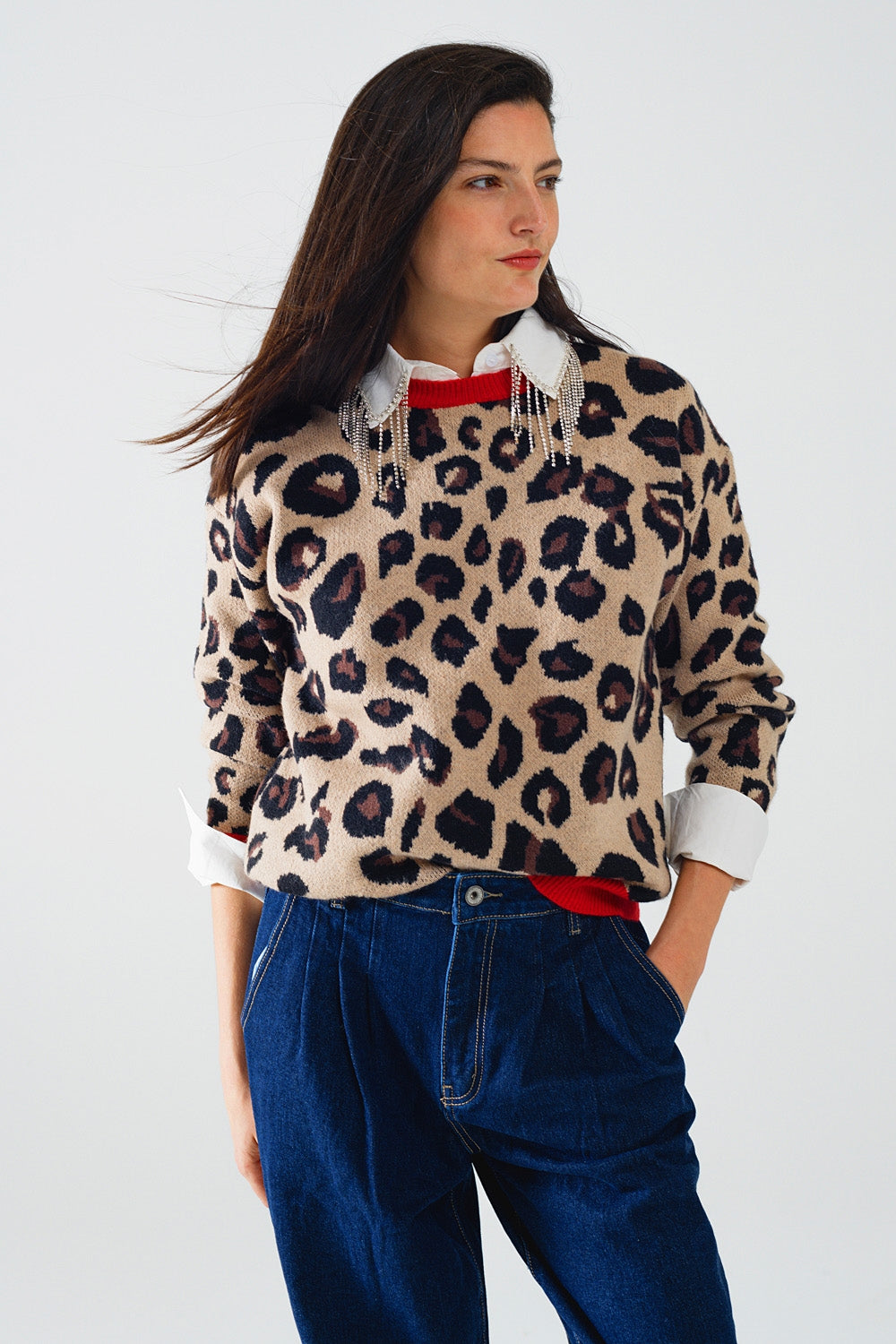 Leopard All Over