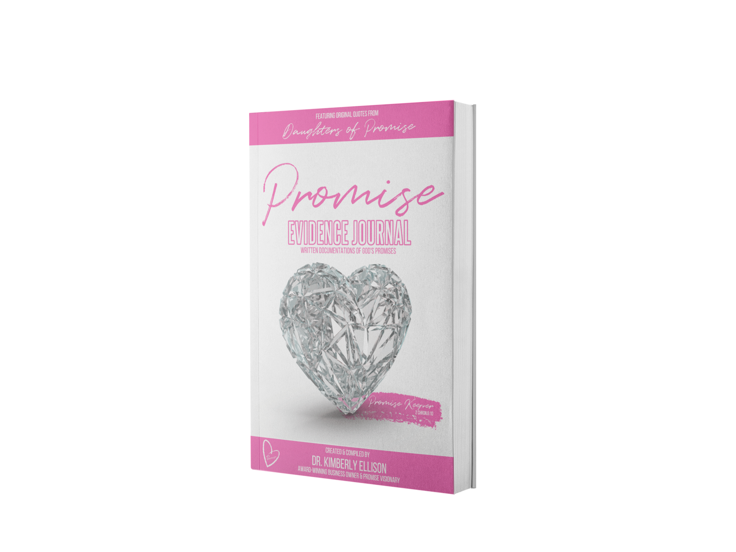 The Promise Devotional VIP Bundle